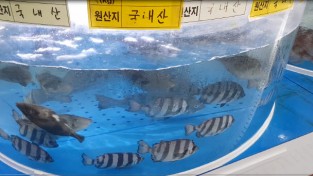 경기도 사진제공 - 수입 수산물 원산지 거짓표시 수사.jpg