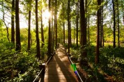 경기도산림환경연구소, '물향기수목원' 여름방학 맞이 숲 체험 가족 프로그램 운영
